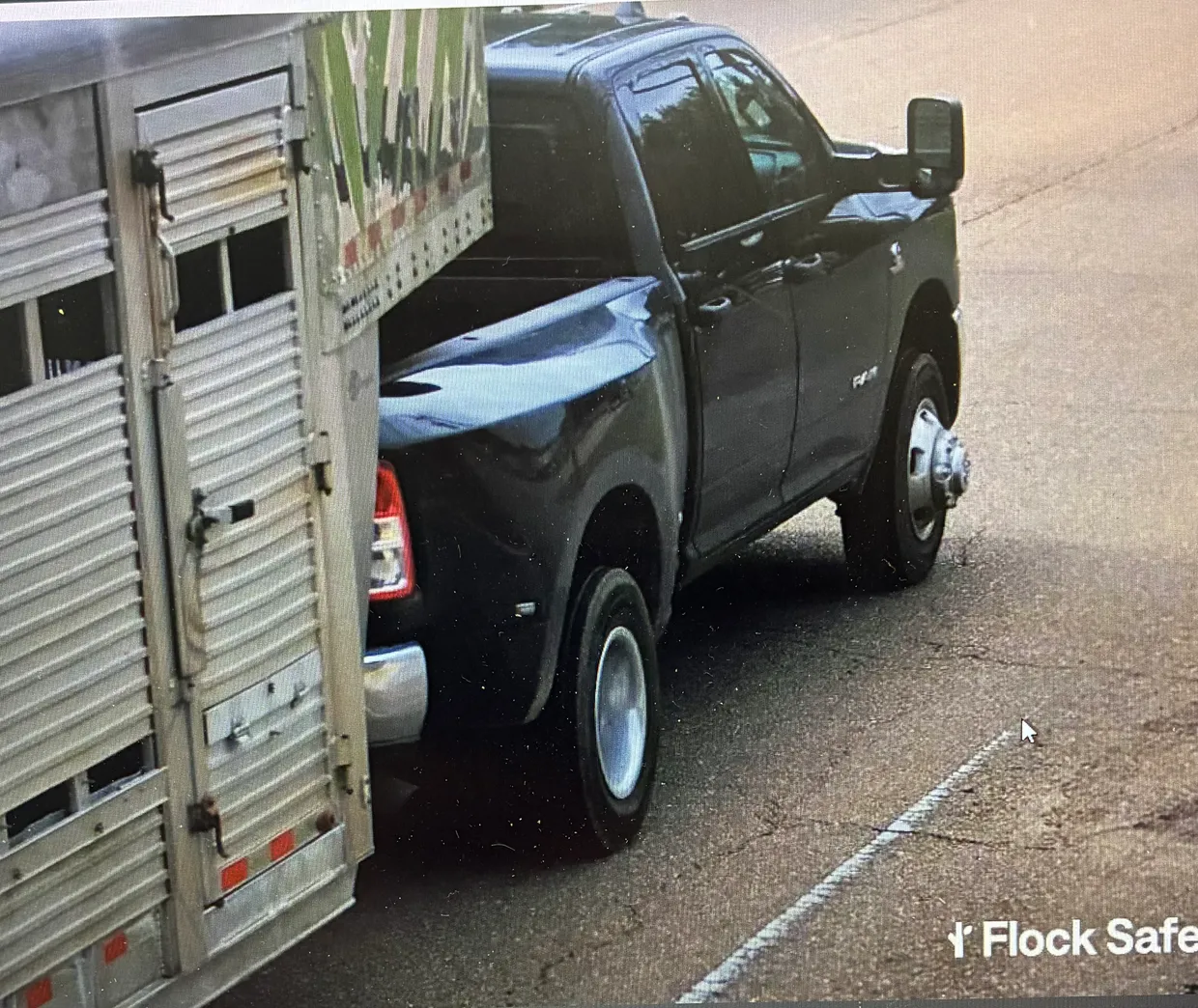 Mississippi authorities investigating cattle theft from livestock barn